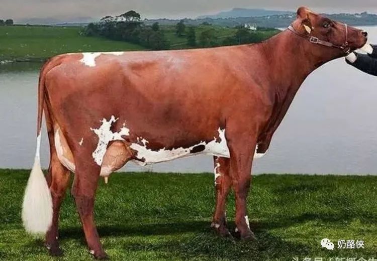 1698626581164209.jpg 3.jpg