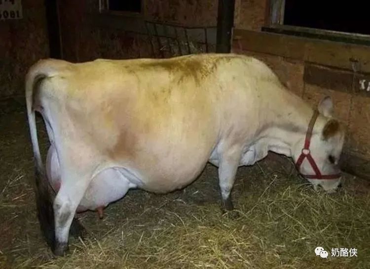 1698626590205123.jpg 4.jpg