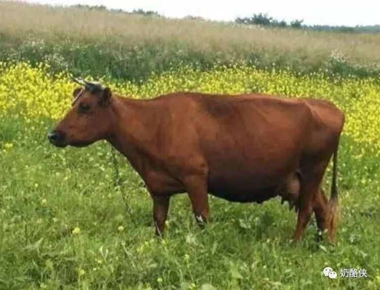 1698626623464883.jpg 8.jpg