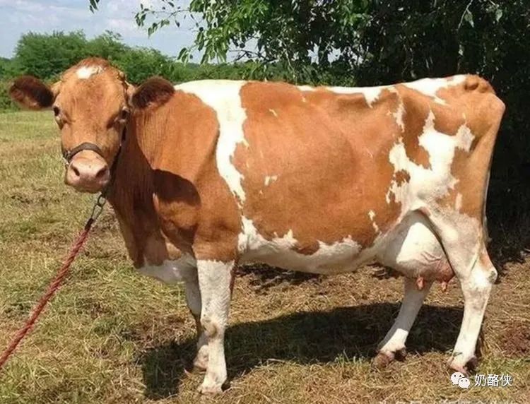 1698626632154450.jpg 9.jpg