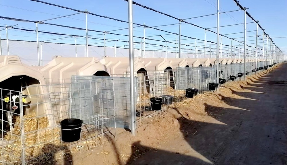 全方位呵護，讓牛寶寶溫暖又健康