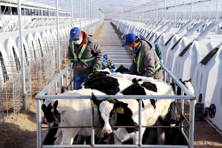 生命的禮贊，成長(zhǎng)的史詩(shī)