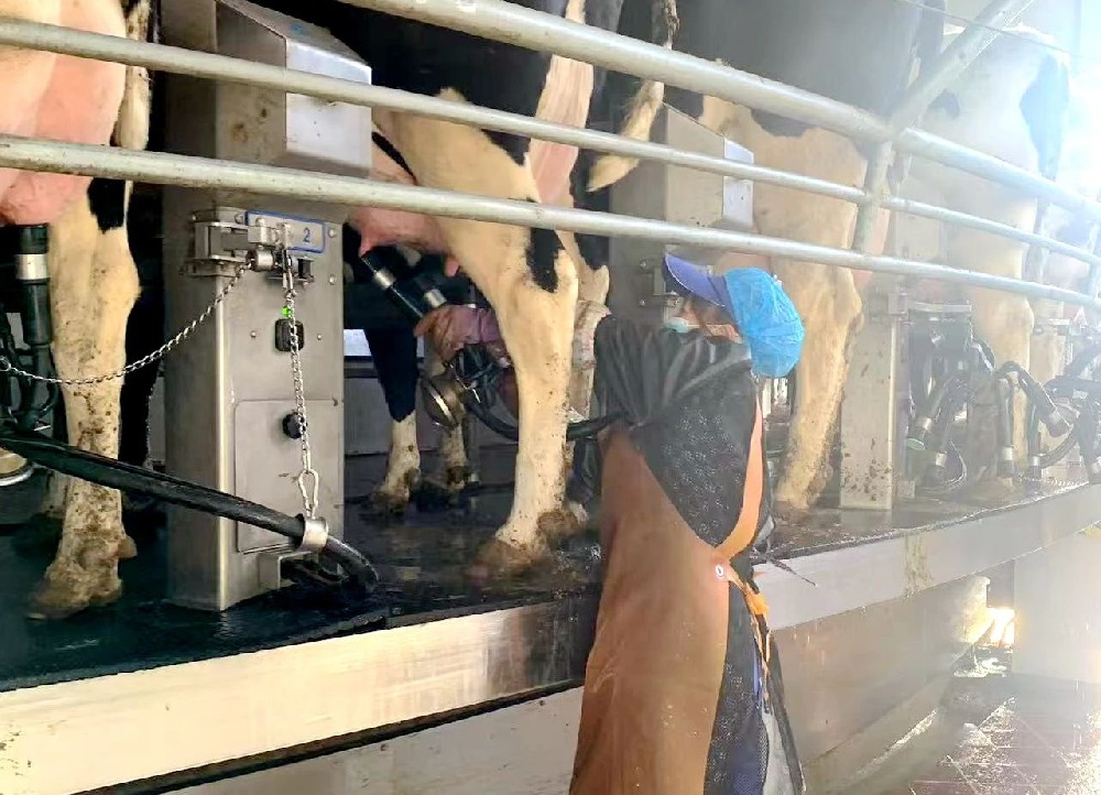 心懷熱愛，不懈耕耘