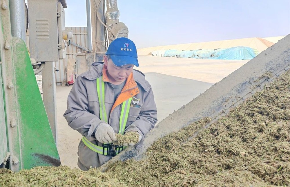 奶牛飼養(yǎng)師的堅(jiān)守