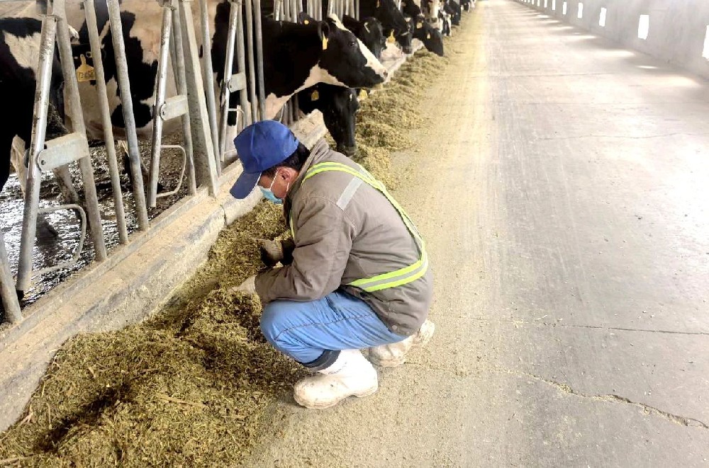 甘做養(yǎng)殖路上的“老黃?！?></div>
            </a></li>
          
          <li id=