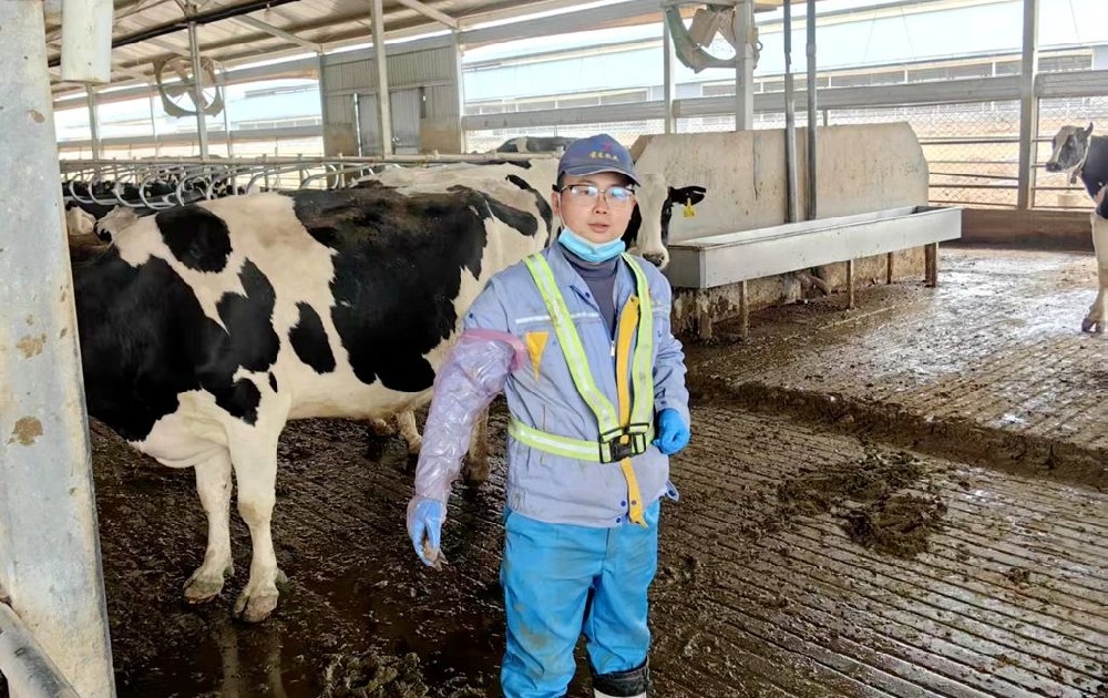 無畏前行，化繭成蝶