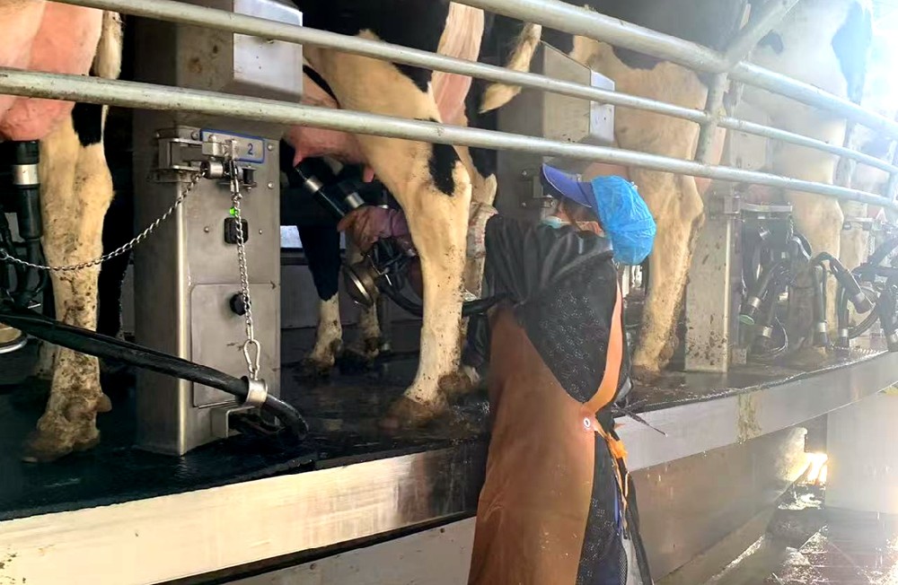 于勤勉中篤行，在務(wù)實(shí)中奮進(jìn)