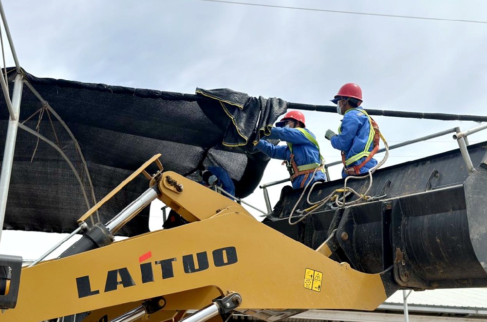 黨員先行筑防線，撐起犢牛成長“保護(hù)傘”