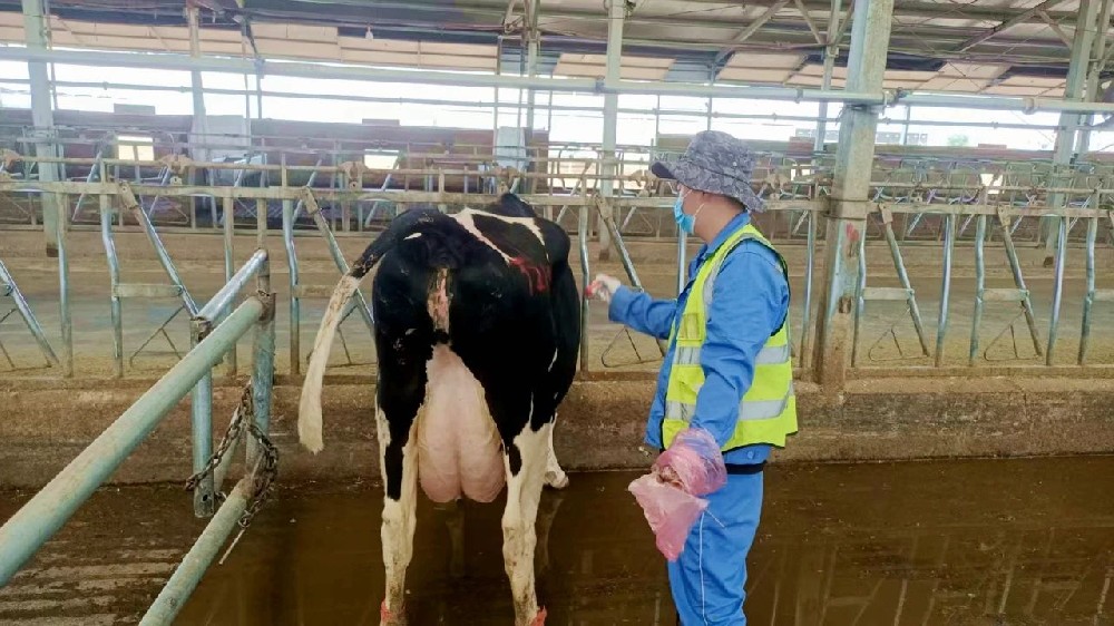 生命密碼的解讀者：繁育員的十二時(shí)辰