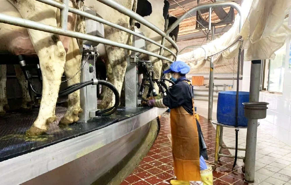 播種希望，收獲喜悅