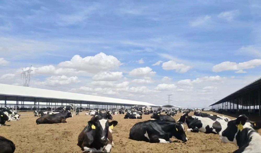 牧場四季，成長印記