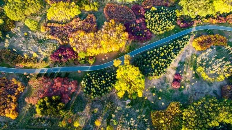 坐在蘆水灣，一杯傳祁酸奶讓夏日的炎熱融入湖中