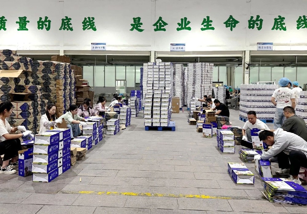 職能部門(mén)下沉一線(xiàn)，同心筑牢生產(chǎn)“保障線(xiàn)”